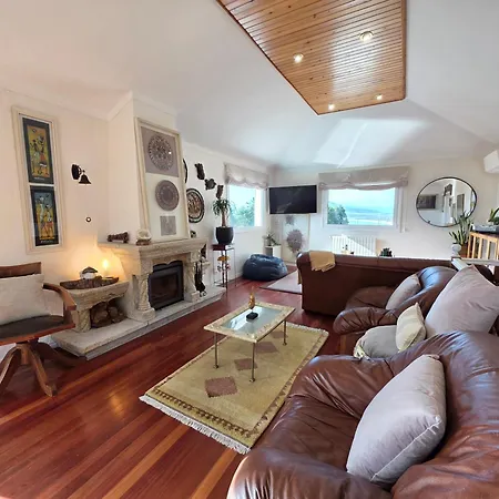 Villa Castrum - Nature Moledo - Jacuzzi - Sauna - Banho Turc - Bilhar - Matraquilhos
