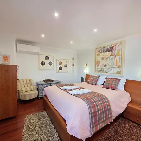 Villa Castrum - Nature Moledo - Jacuzzi - Sauna - Banho Turc - Bilhar - Matraquilhos